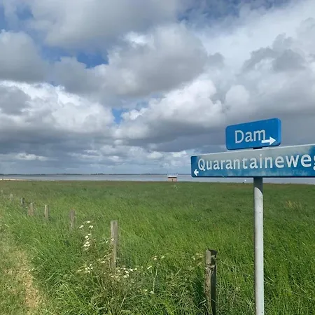Traumlage Nr 56: Seaside Tranquility In Nature's Embrace * Westerland