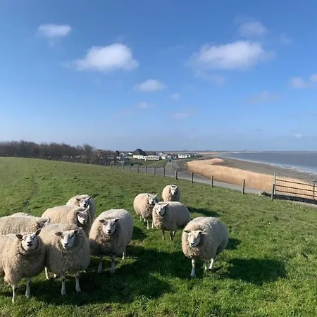 Traumlage Nr 56: Seaside Tranquility In Nature's Embrace Westerland