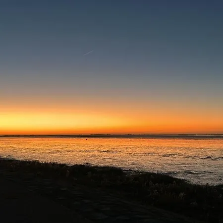 Traumlage Nr 56: Seaside Tranquility In Nature's Embrace *