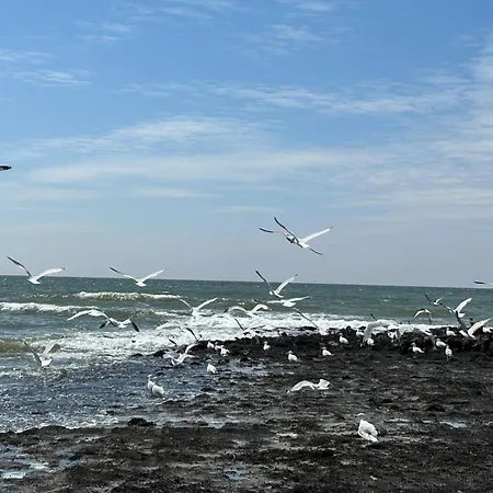 Traumlage Nr 56: Seaside Tranquility In Nature's Embrace * Westerland