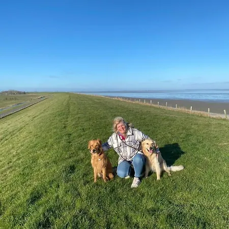 Hébergement de vacances Traumlage Nr 56 Erste Reise Direkt Am Fertigstellung Maerz 23 Eingezaeunt, Ruhig, Phantastische Nr56