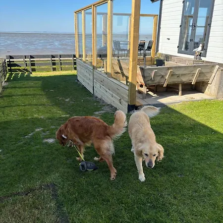 Holiday home Traumlage Nr 56: Seaside Tranquility In Nature's Embrace *