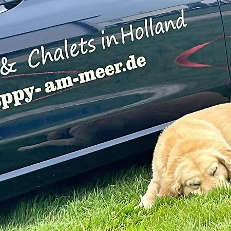 Traumlage Nr 56 Erste Reise Direkt Am Fertigstellung Maerz 23 Eingezaeunt, Ruhig, Phantastische Nr56 Prázdninový dům *