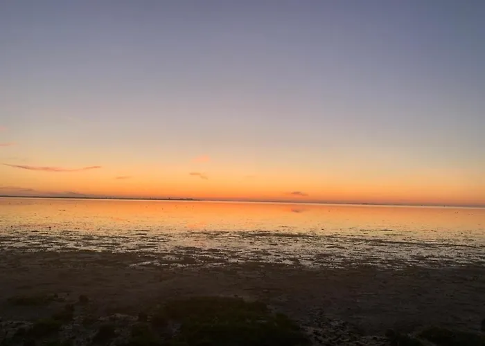 펜션 Traumlage Nr 56 Erste Reise Direkt Am Fertigstellung Maerz 23 Eingezaeunt, Ruhig, Phantastische Nr56 *