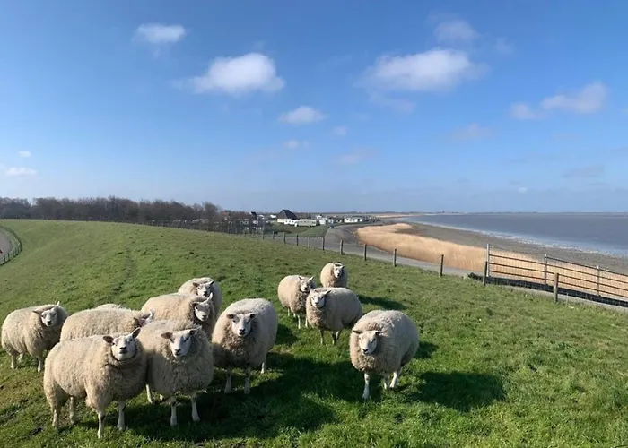 Traumlage Nr 56 Erste Reise Direkt Am Fertigstellung Maerz 23 Eingezaeunt, Ruhig, Phantastische Nr56 Westerland