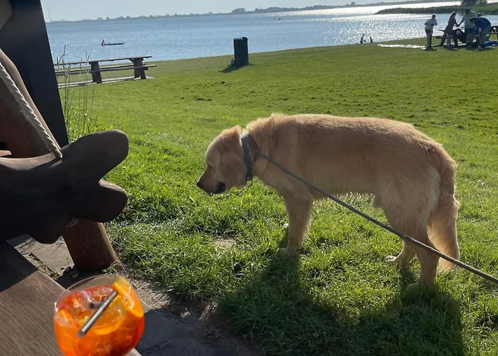 Traumlage Nr 56 Erste Reise Direkt Am Fertigstellung Maerz 23 Eingezaeunt, Ruhig, Phantastische Nr56 * Westerland