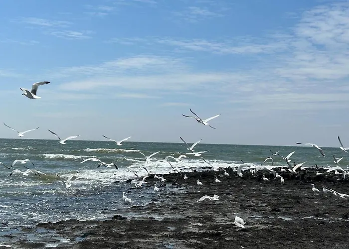 Traumlage Nr 56 Erste Reise Direkt Am Fertigstellung Maerz 23 Eingezaeunt, Ruhig, Phantastische Nr56 * Westerland