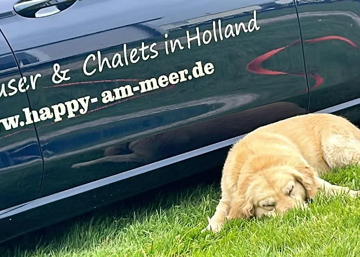 Traumlage Nr 56 Erste Reise Direkt Am Fertigstellung Maerz 23 Eingezaeunt, Ruhig, Phantastische Nr56 펜션 *