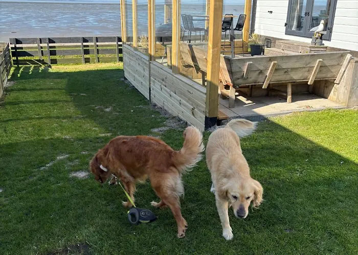 펜션 Traumlage Nr 56 Erste Reise Direkt Am Fertigstellung Maerz 23 Eingezaeunt, Ruhig, Phantastische Nr56 *